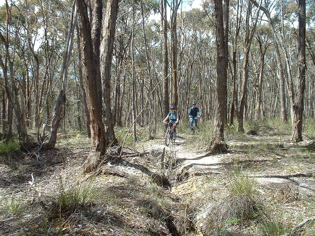 2016 Grant Round for the Recreational Trails Program Opens